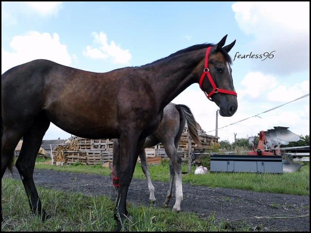 Himena ♥