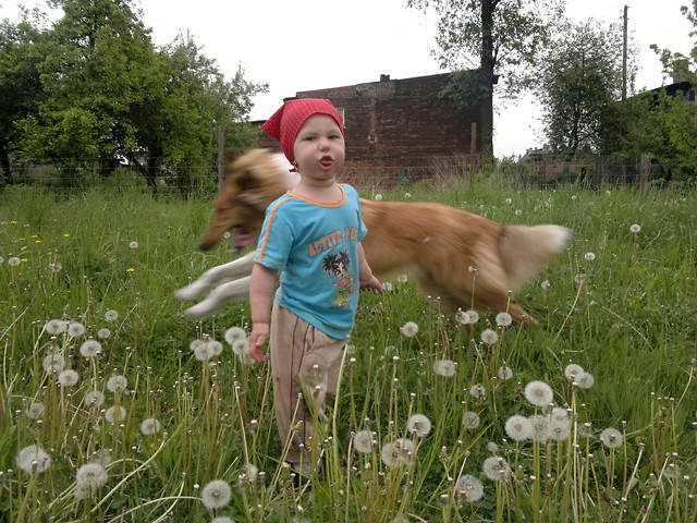 Wpis agrafkaszajsy