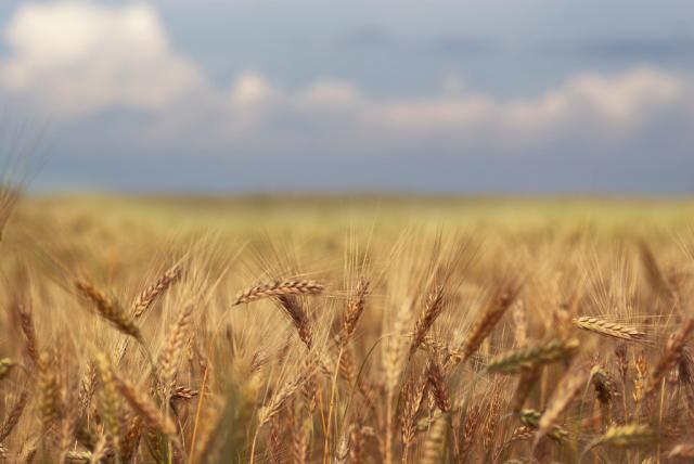 Krajobrazy podlasia.
