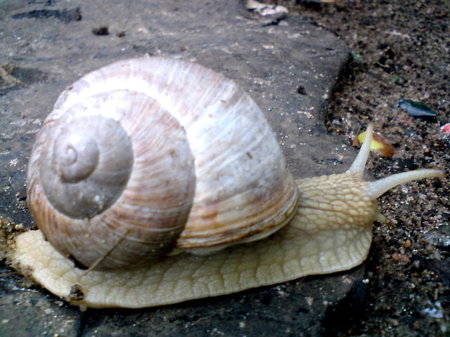 Wpis lusiaczek97