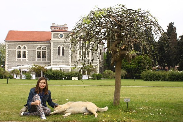 Istanbul, Bogazici University :)