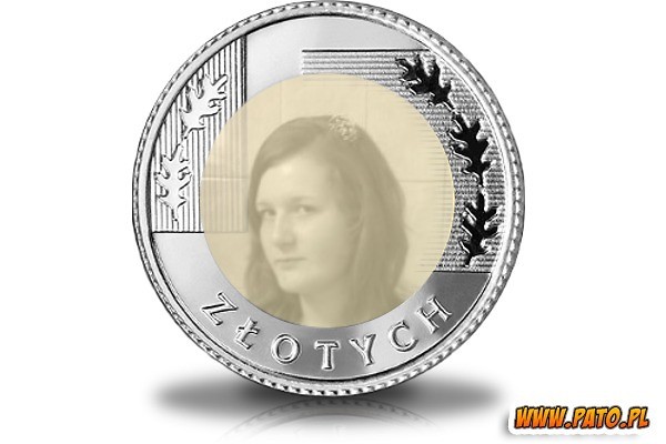 Wpis dyska14