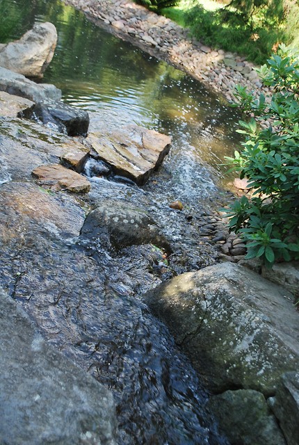 japenese garden 