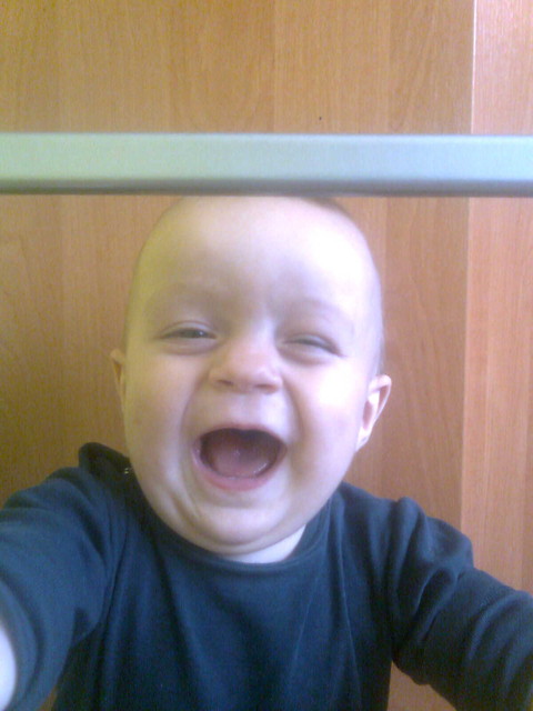 michu 