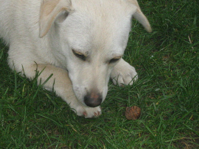 Maxx ;*