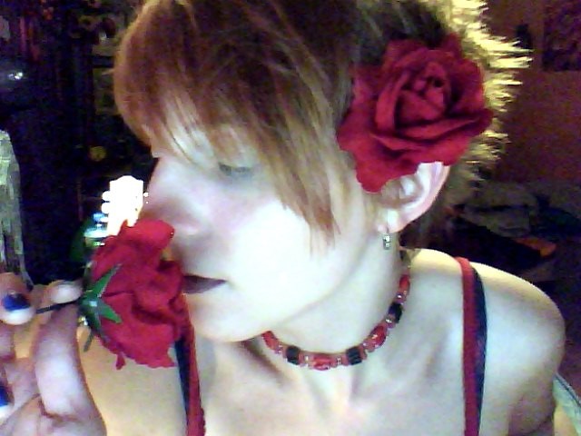 Kiss by a rose