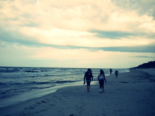 Stegna 2011.