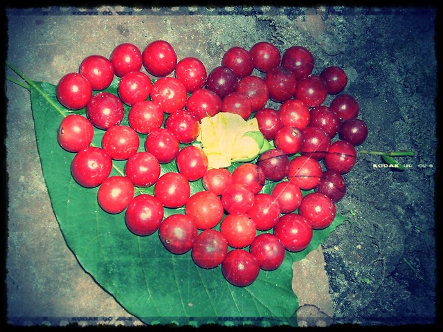 Winiowa sesja:*:*