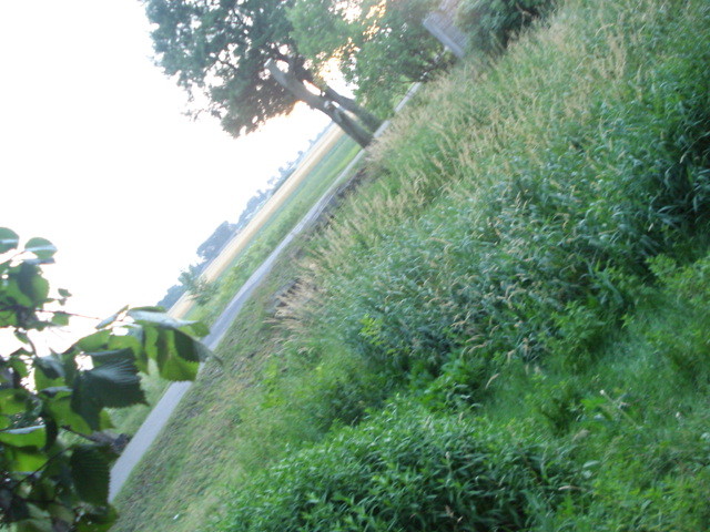 Wpis xxdkxx