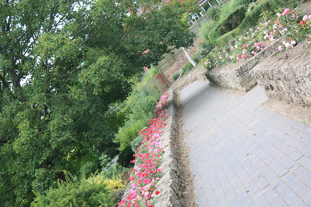 angliaa 