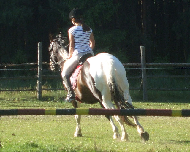 galop.