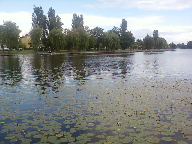 Jezioro Augustowskie 