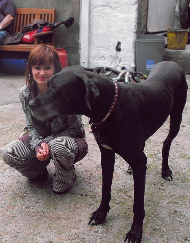 Dog ;)