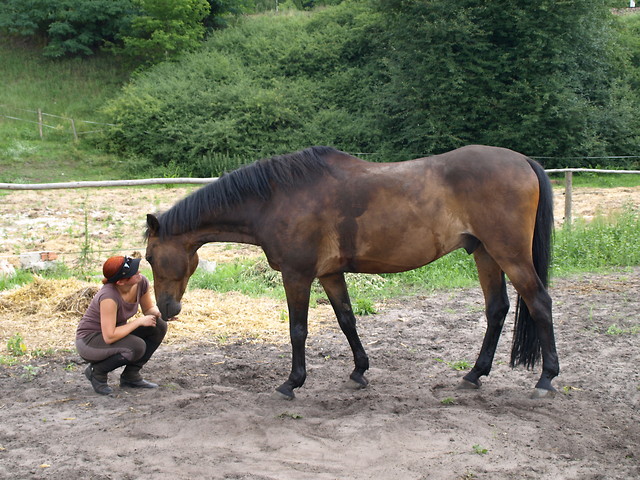 sierciuch :)