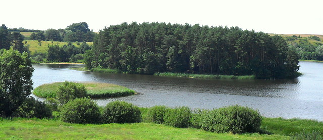 Wpis dronka