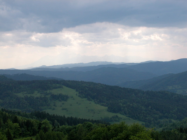 jaka Krynica