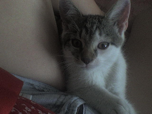Filipek;*****