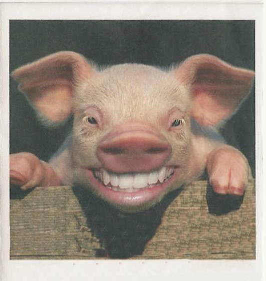 Big Smile