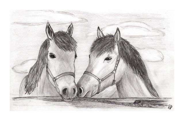 horsy ;d