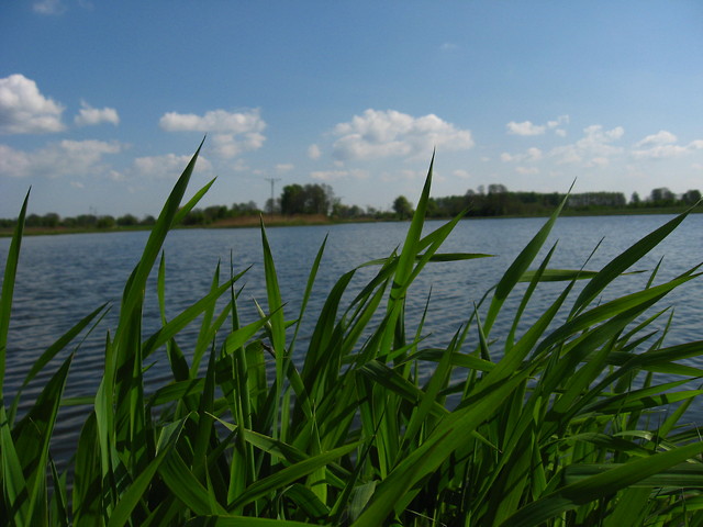 Stojc w biegu.