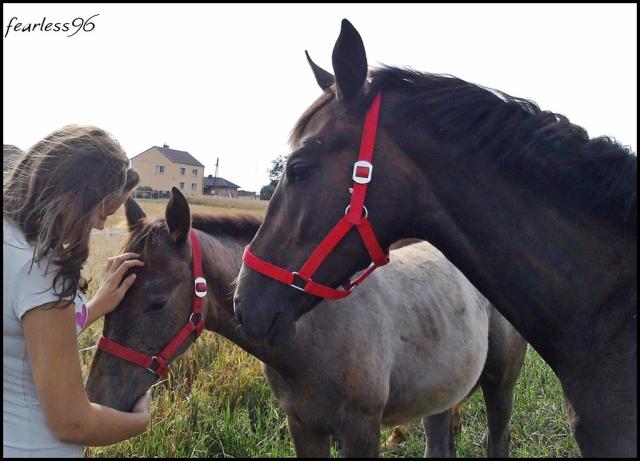 z Harf i Himen ♥