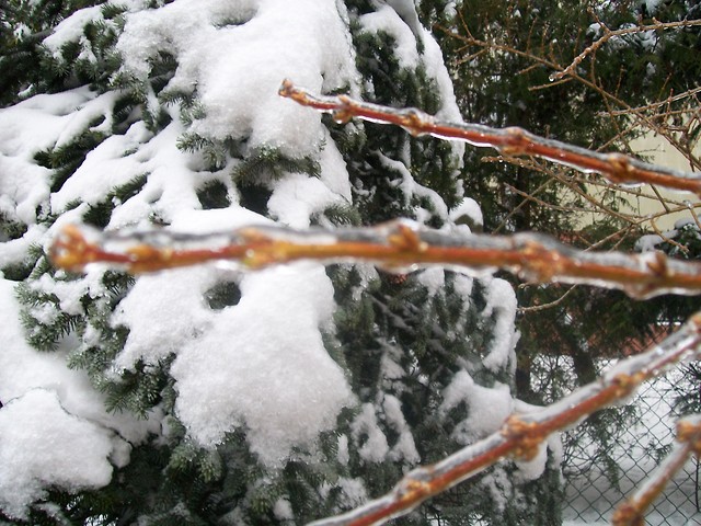 Zima 2010