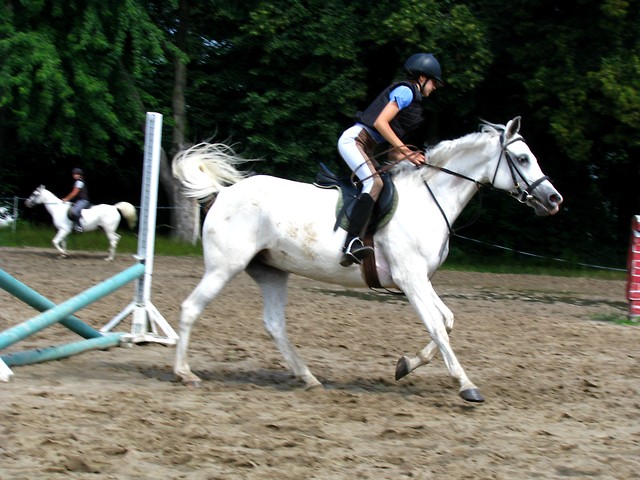 Matea