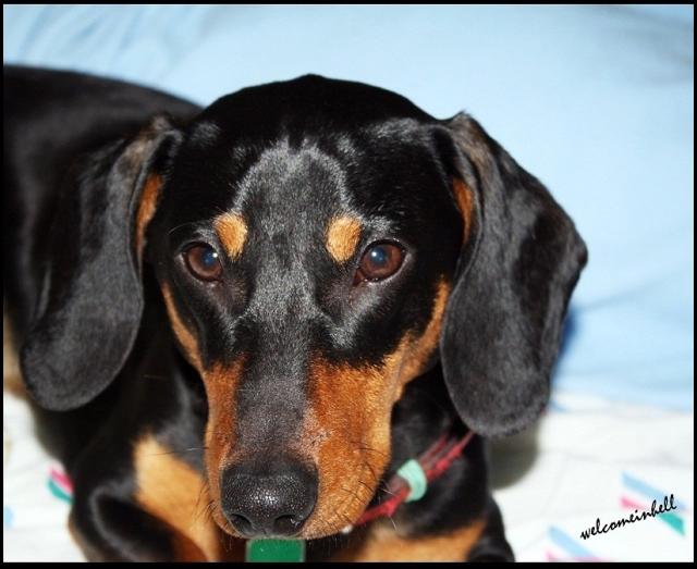 Ares.