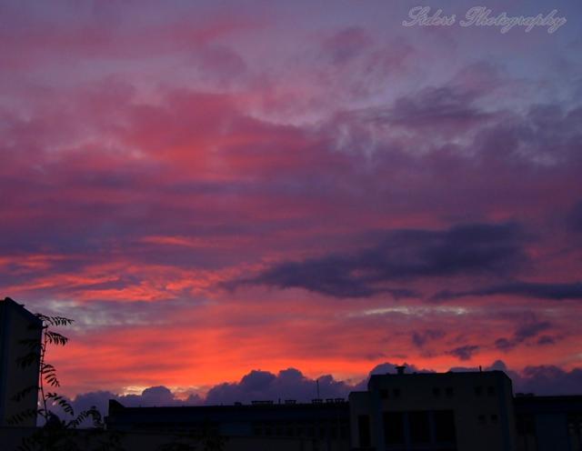 509.skies're bleeding in violet.