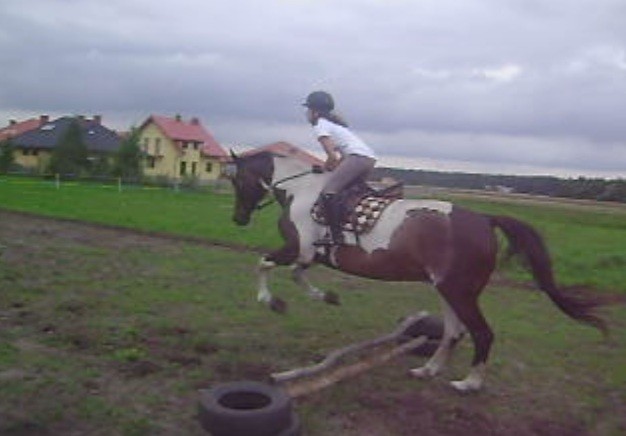 Wpis gryzaaa