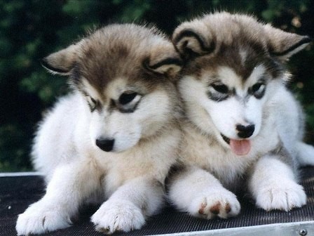 Lubi to !  ;d