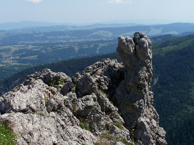 14.