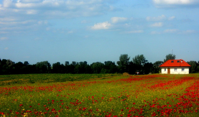 domek ze struala