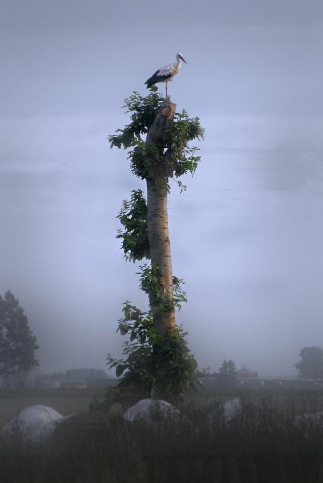 Krajobrazy podlasia.