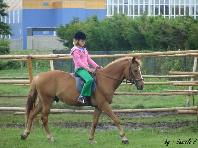 konik