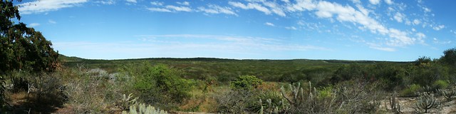 Horizontalmente