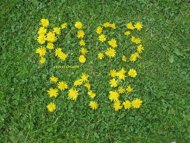 4.