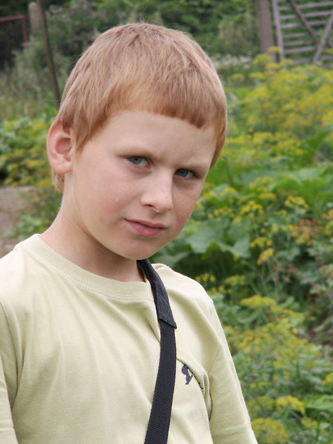 NIEPRZYZWYCZAJENIE..