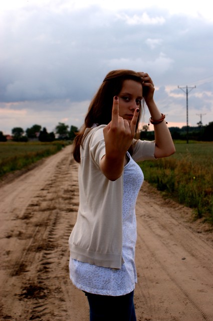 ROCK   N'  ROLL  WILL  NEVER  DI