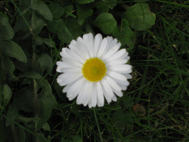 6.