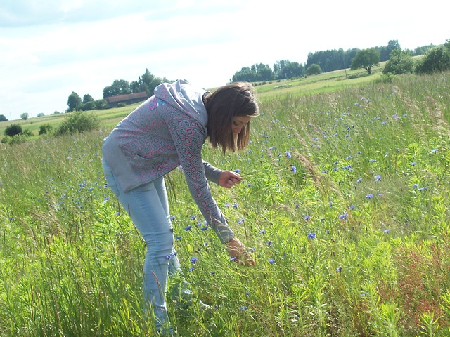 Wpis sylwusiiia