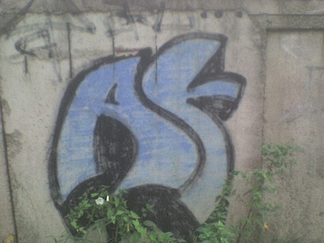 AT,Sulcin ul.wirki i Wigury