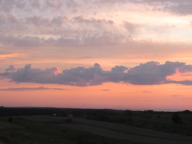 Jastrzbia . < 333