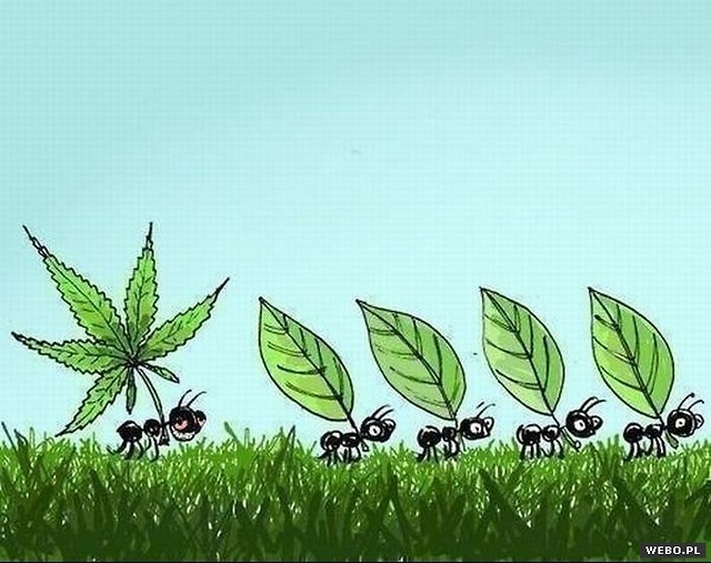 Zawsze bylem ,,inny'' :)