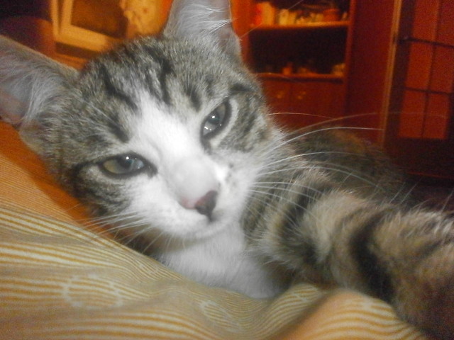 Wpis punitaa