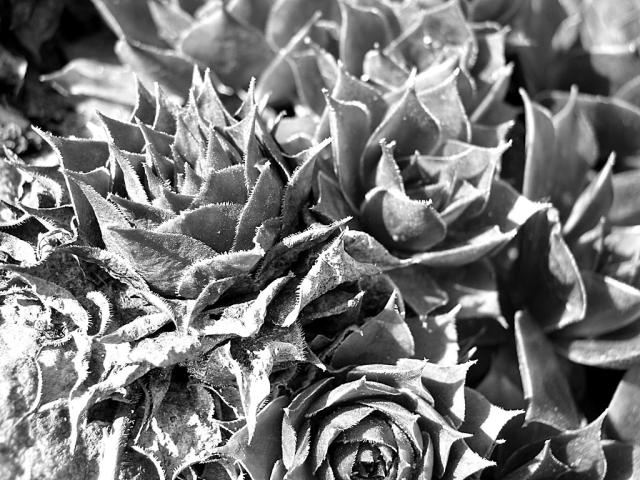 Wpis saniaphotography