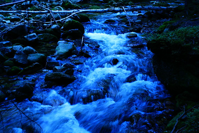 Wpis fotokrzypek