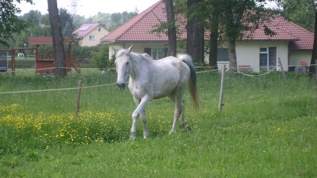Cieszyn ;-**