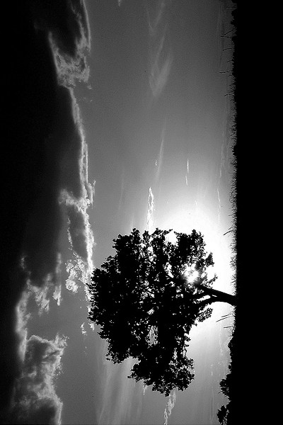 chujnia.