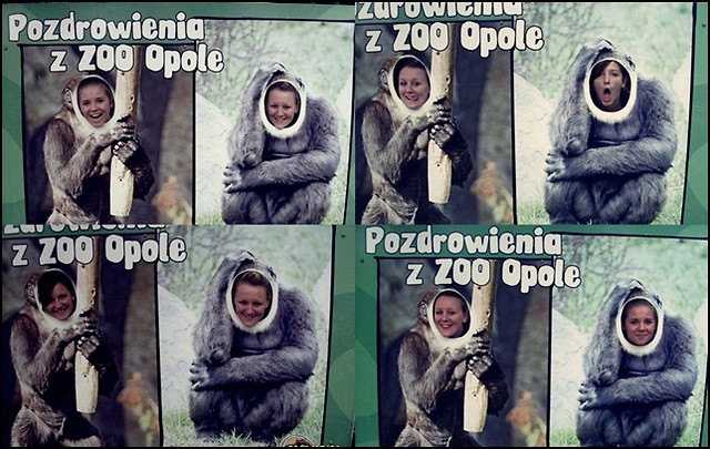  W zoo